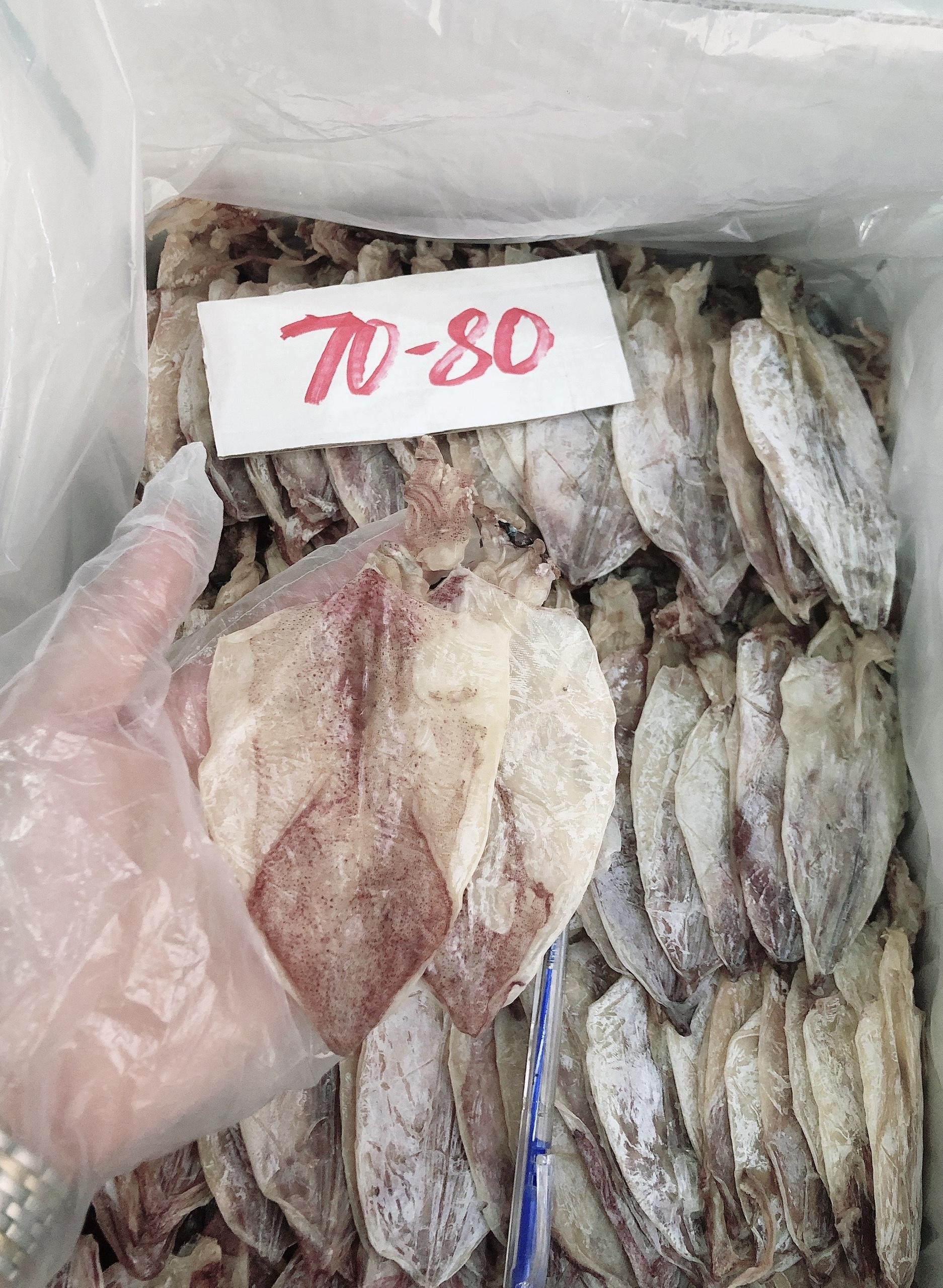 [HCM]Khô mực giá rẻ size 70-80con/kg