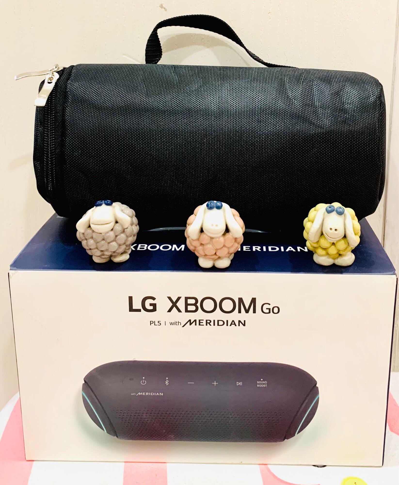 Túi đựng loa LG Xboom Pl5 và XG5Q hàng cao cấp