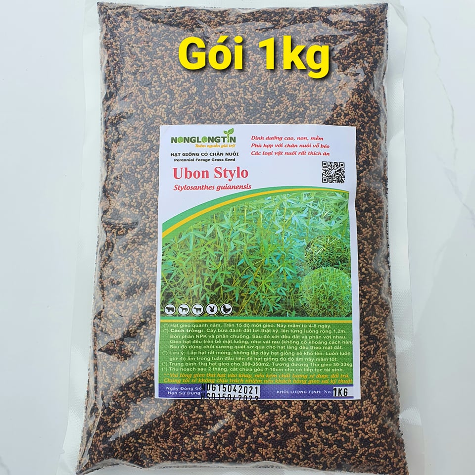 Hạt Giống Cỏ Stylo – Dinh Dưỡng Cao