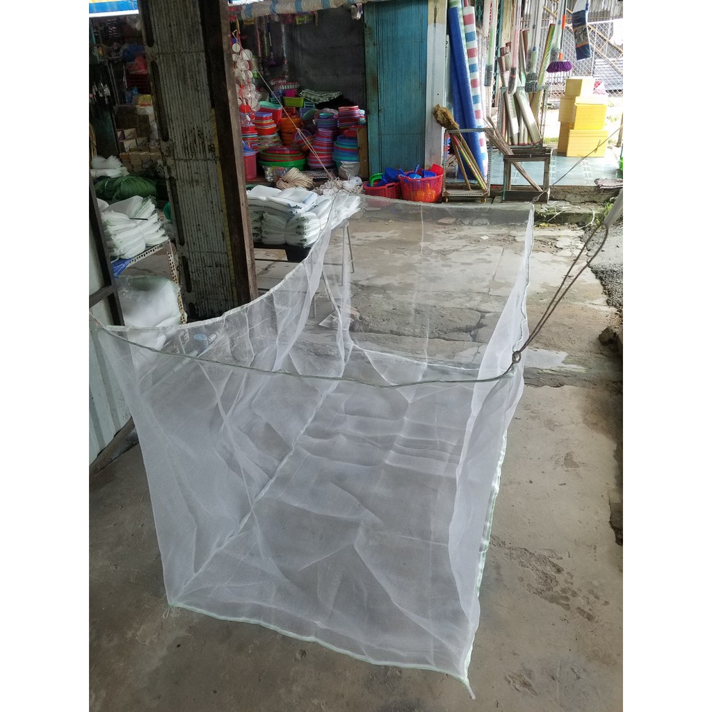 Tráng lưới nuôi ốc nhồi ốc bươu đen rộng cá