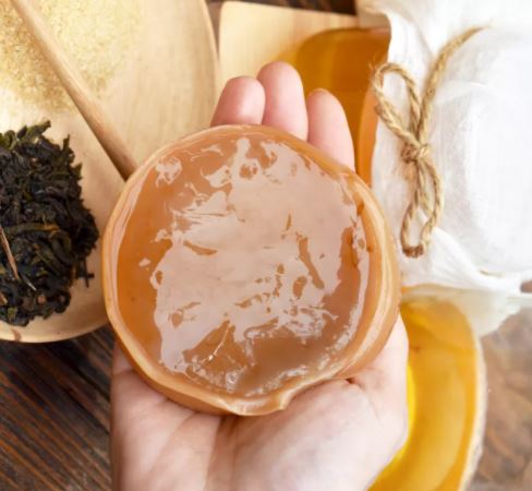 Scoby Kombucha