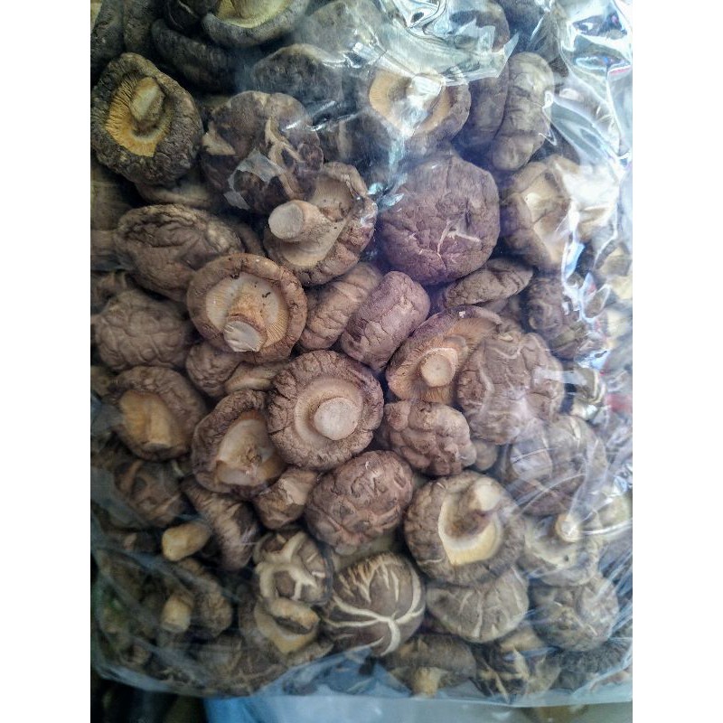 100g nấm đông cô bông lai khô |size trung dày