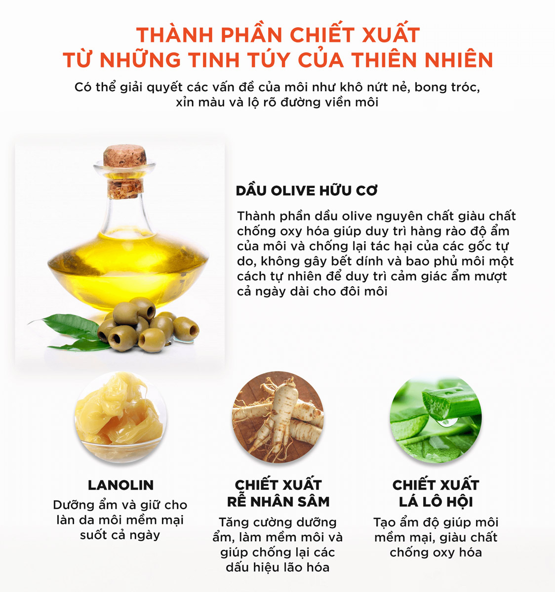 Son Dưỡng DHC Lip Cream chiết xuất thực vật tự nhiên giúp cải thiện các vấn đề của môi như khô, nứt nẻ, bong tróc, xỉn màu và lộ rõ rãnh môi.