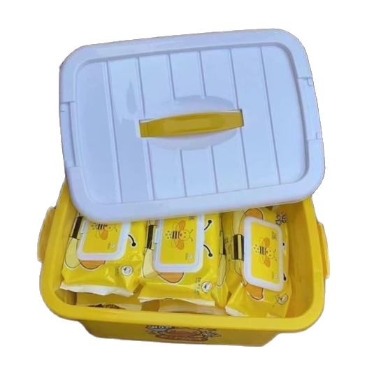Sale 1 ngày duy nhất - xô 10 túi khăn giấy ướt con vịt/con ong, mỗi túi 80 tờ, hàng y hình