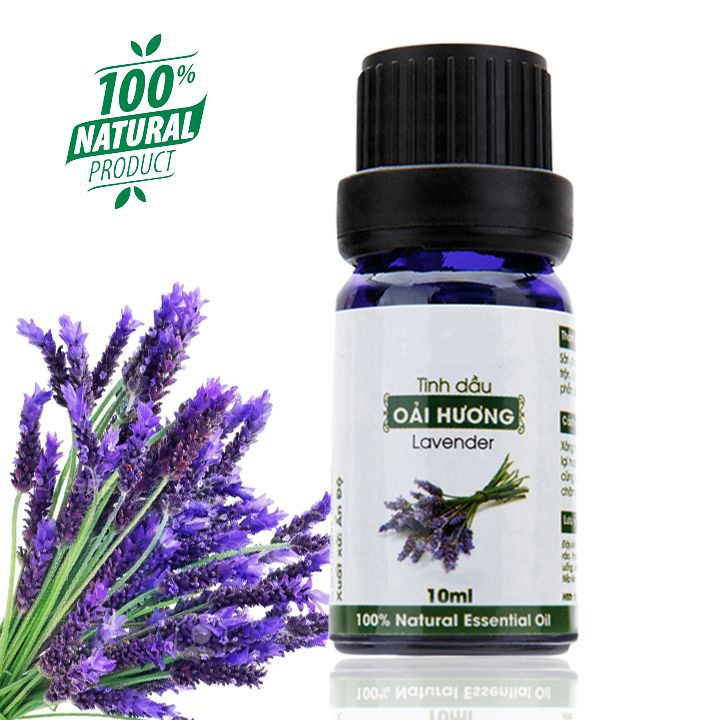 Tinh Dầu Oải Hương Lavender Nguyên Chất Dùng Với Máy Xông Tinh Dầu Giúp Thơm Phòng Ngủ Ngon Giảm Căng Thẳng Mệt Mỏi