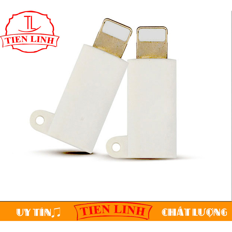 Đầu chuyển đổi từ USB Type C sang Lightning (Trắng - Móc chống rơi)