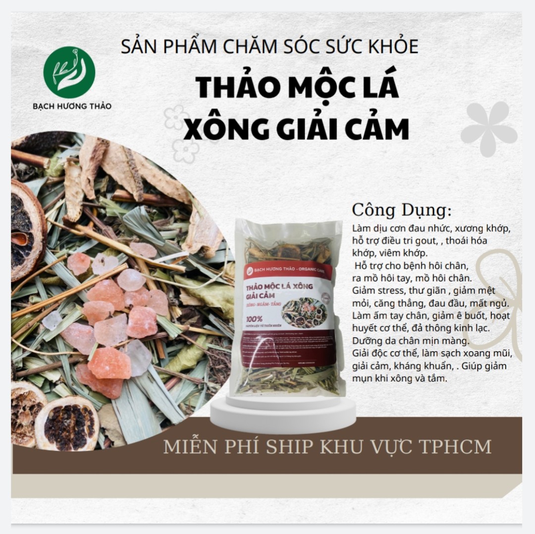 Thảo mộc Lá xông giải cảm , bạch hương thảo