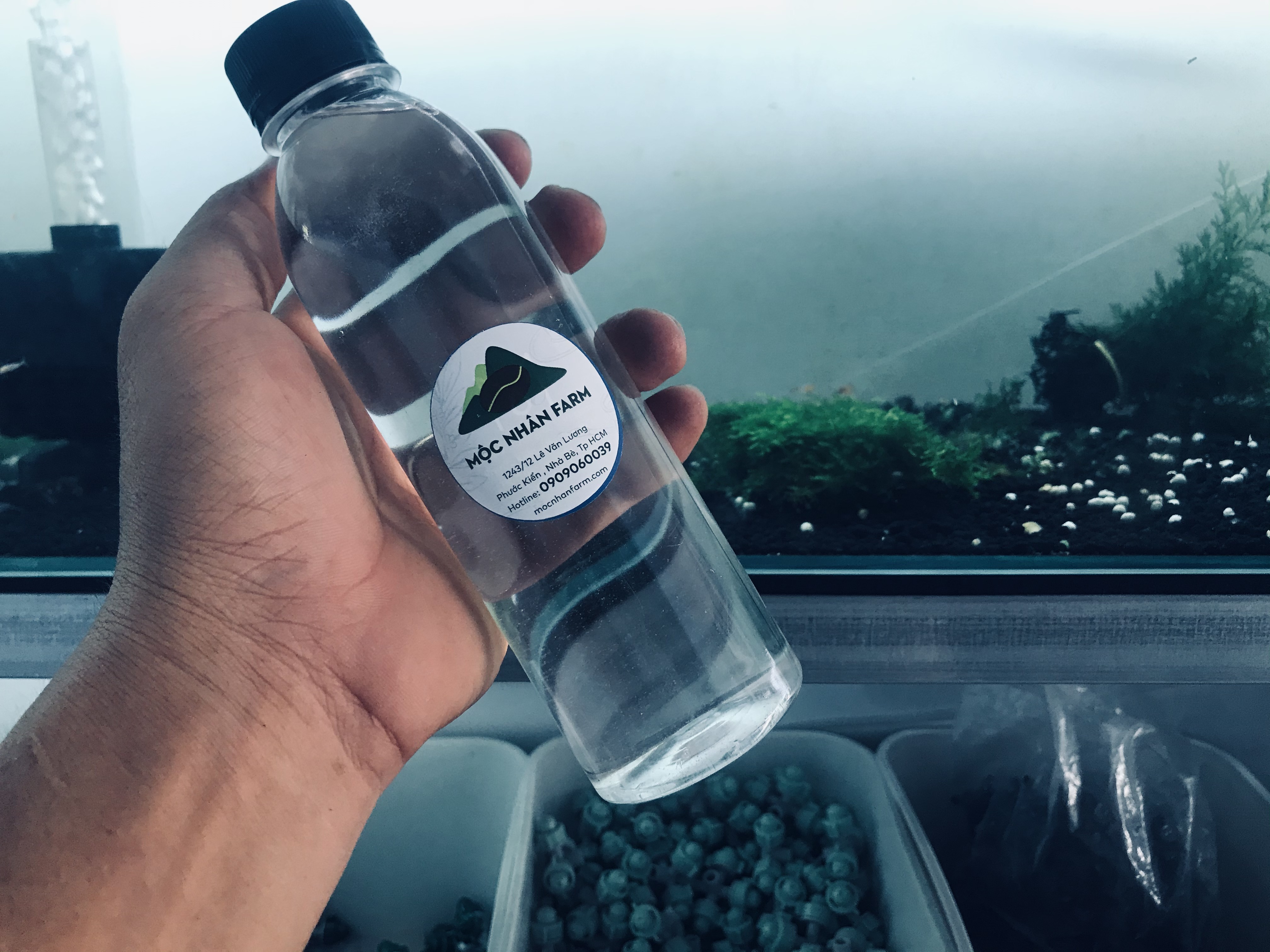 [HCM]Khoáng Tép Dạng Nước SDMix (330 ml) > Khoáng nuôi Cá Cảnh tép cảnh giúp tép dễ lột vỏ > lên màu đẹp > Cại thiện nguồn nước > Mộc Nhân Farm