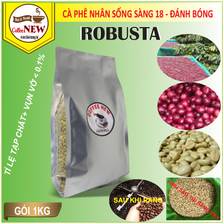 1kg cafe nhân sống robusta chưa rang hàng chất lượng cao chuẩn xuất khẩu sàng 18 bắn màu - coffee new