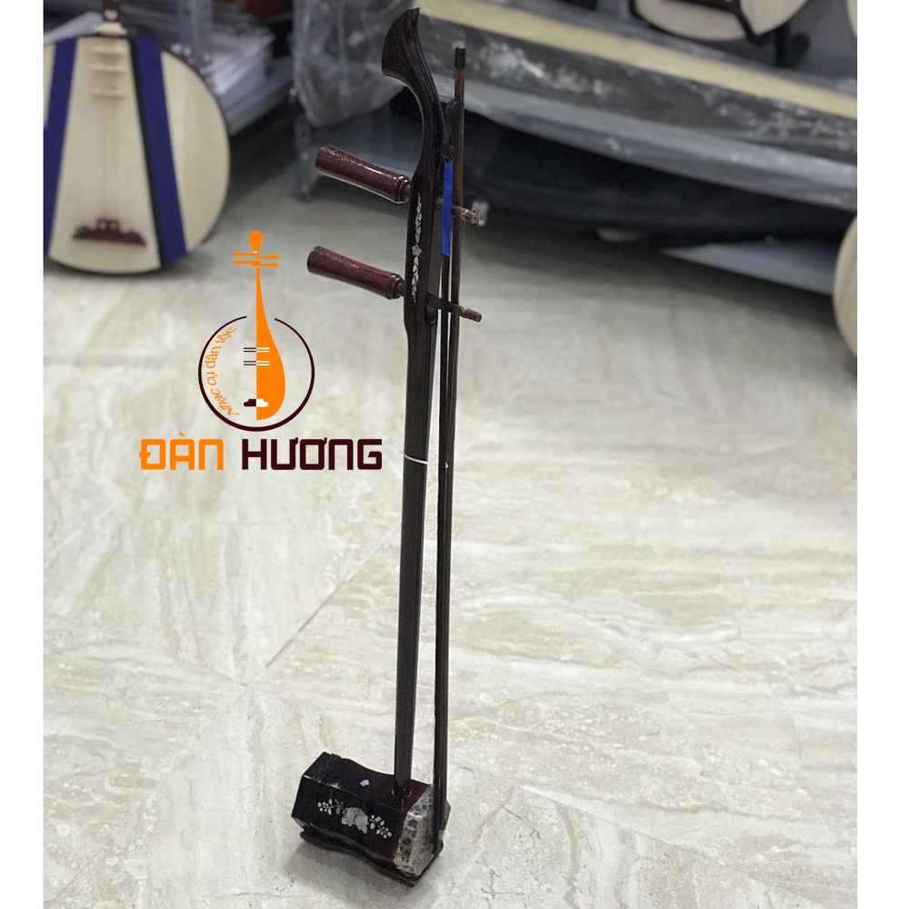 Đàn hồ, líu, nhị trung quốc gỗ mít