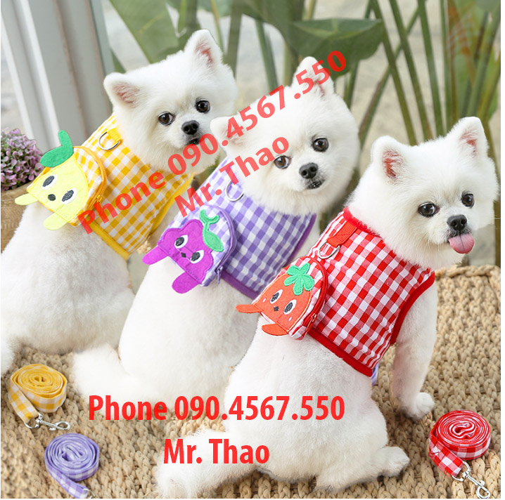 Combo Dây Dắt 1m2+ Kèm Yếm Ngực cho Chó Mèo, Dây dắt cho thú cưng có balo dây kéo