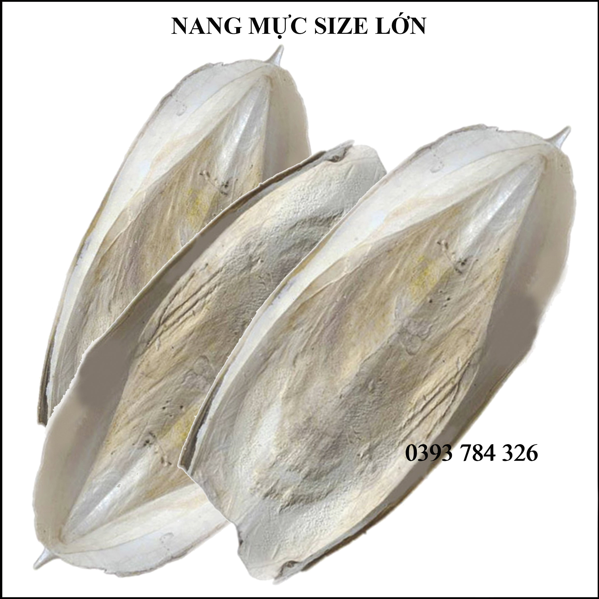 200g Nang Mực ( Mai Mực ) Khô Xuất Khẩu Làm Thức Ăn Cho Chim Yến Phụng, Vẹt, Két,...Size To 16-25cm