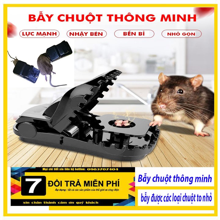 Bẫy Chuột Loại Kẹp Siêu Mạnh, Cách Bẫy Chuột Kiểu Mới Thông Minh Siêu Hiệu Quả, An Toàn , Diệt Chuột Ngay Tức Khắc Kể Cả Loại Chuột Lớn