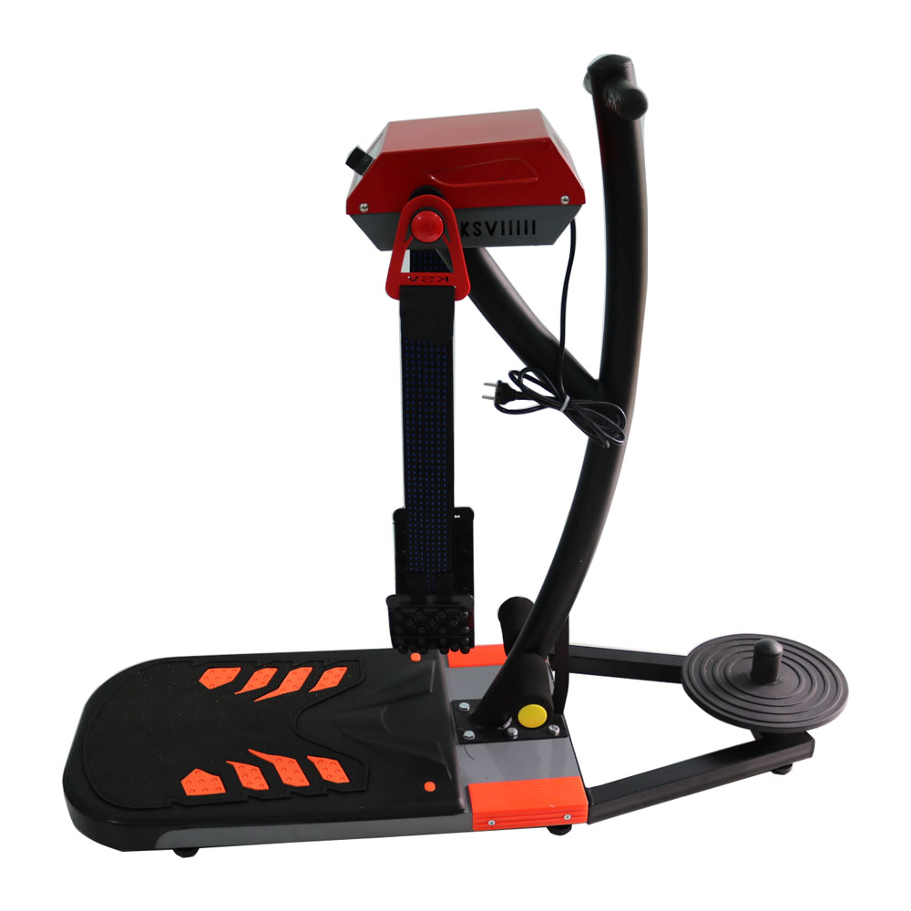 Máy rung bụng đứng xoay eo 2 in 1
