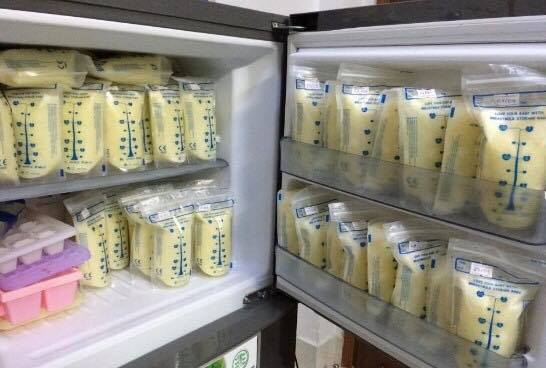 Combo 50 túi đựng sữa hàn quốc , túi bảo quản sữa non cho bé