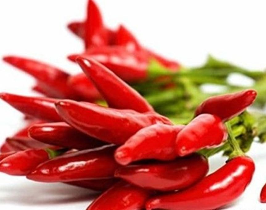 20 Hạt giống Ớt chỉ thiên chùm - Giống sai quả