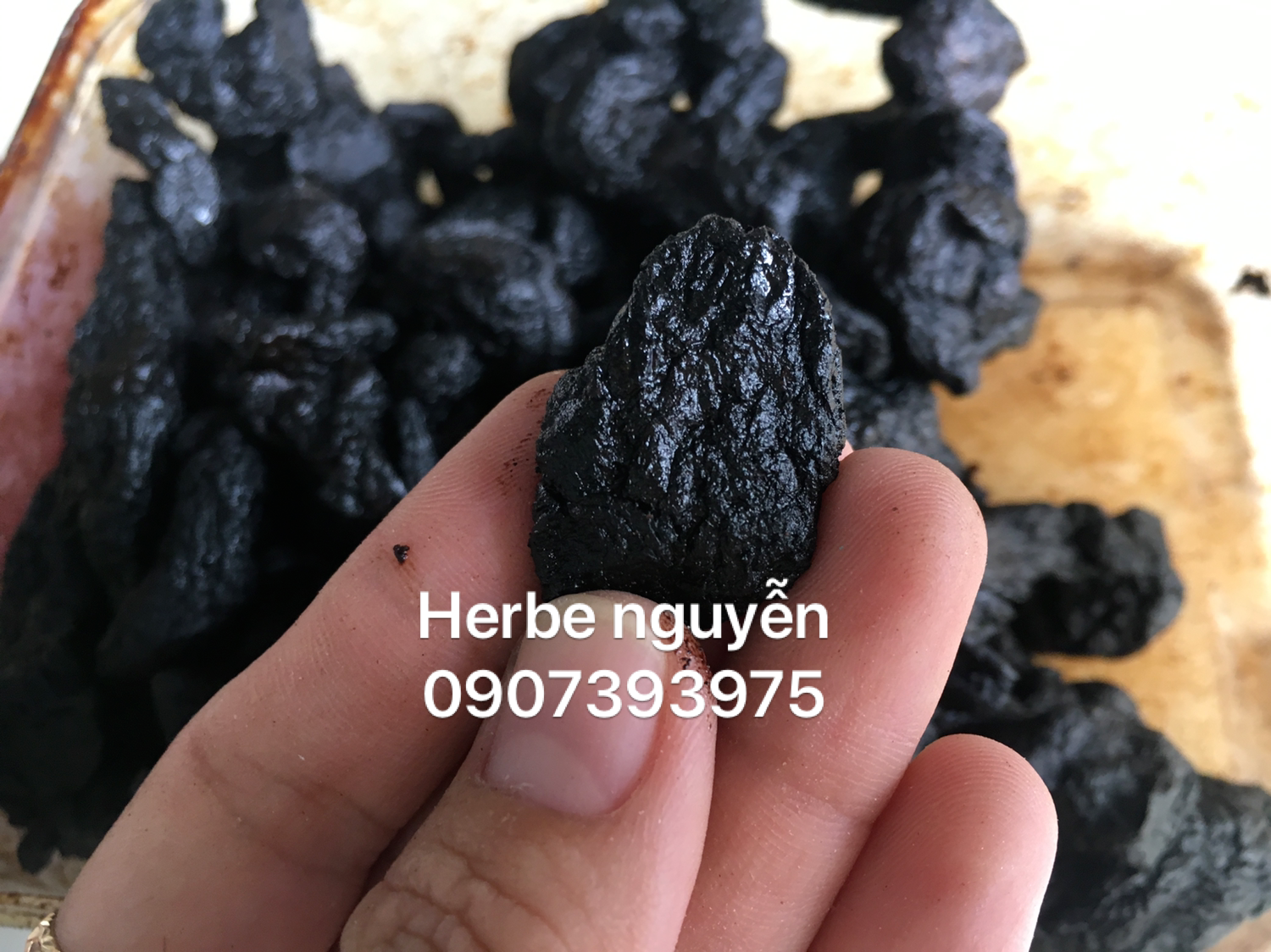 thục địa 100g