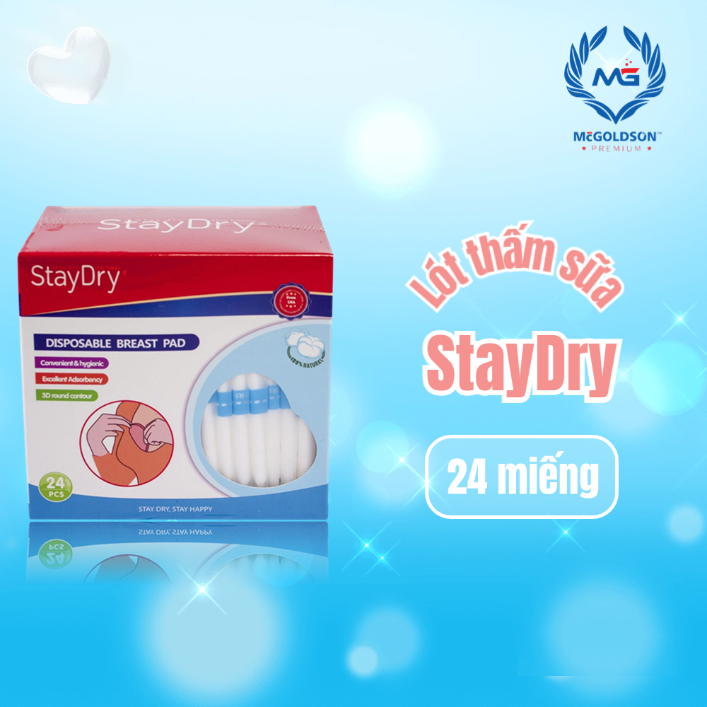 Miếng lót thấm sữa StayDry