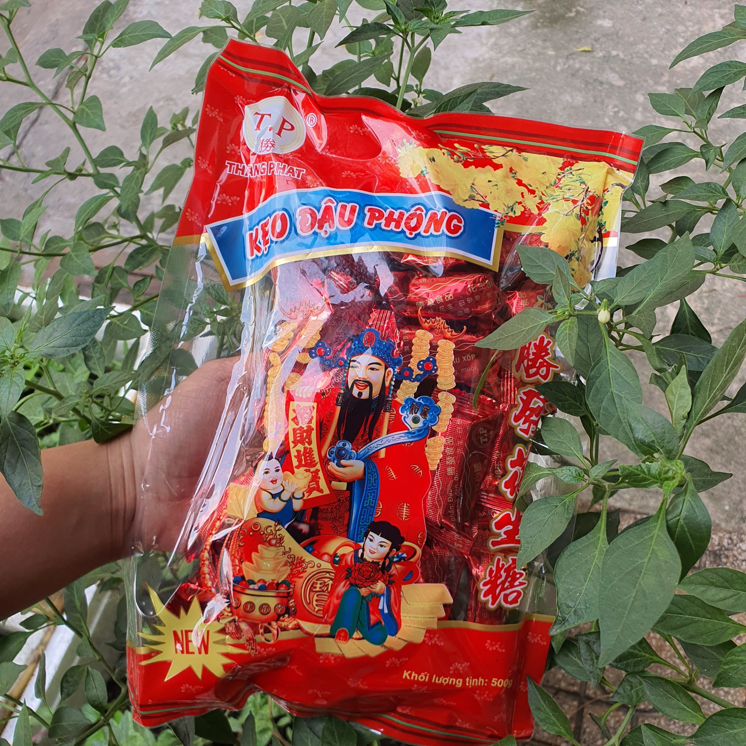Kẹo đậu phộng BƠ ĐỎ hình thần tài gói 500g date MỚI