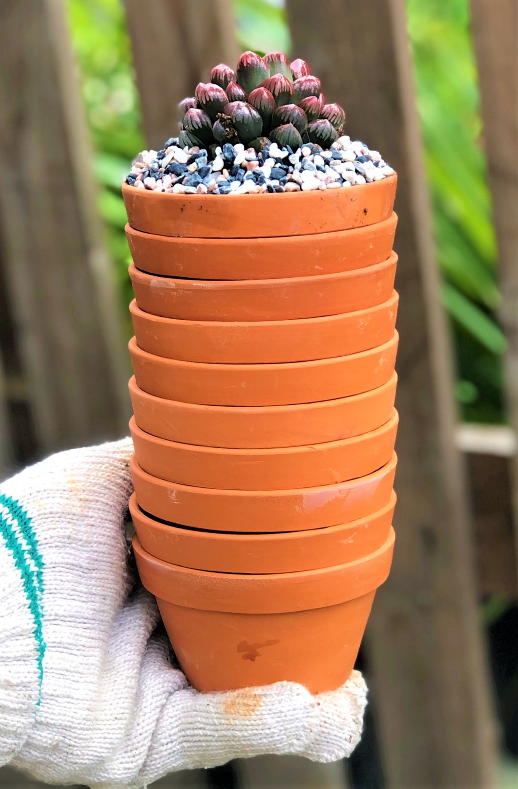 Bộ 10 chậu đất nung trồng xương rồng sen đá Rộng 9 cm x Cao 5,5 cm
