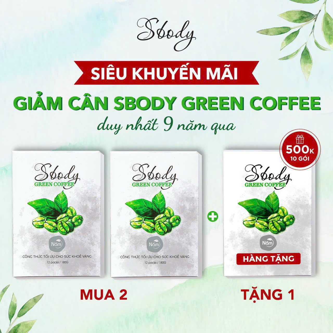 Nấm giảm cân SBody Green Coffee cà phê xanh - dạng gói pha uống - Cam kết chất lượng