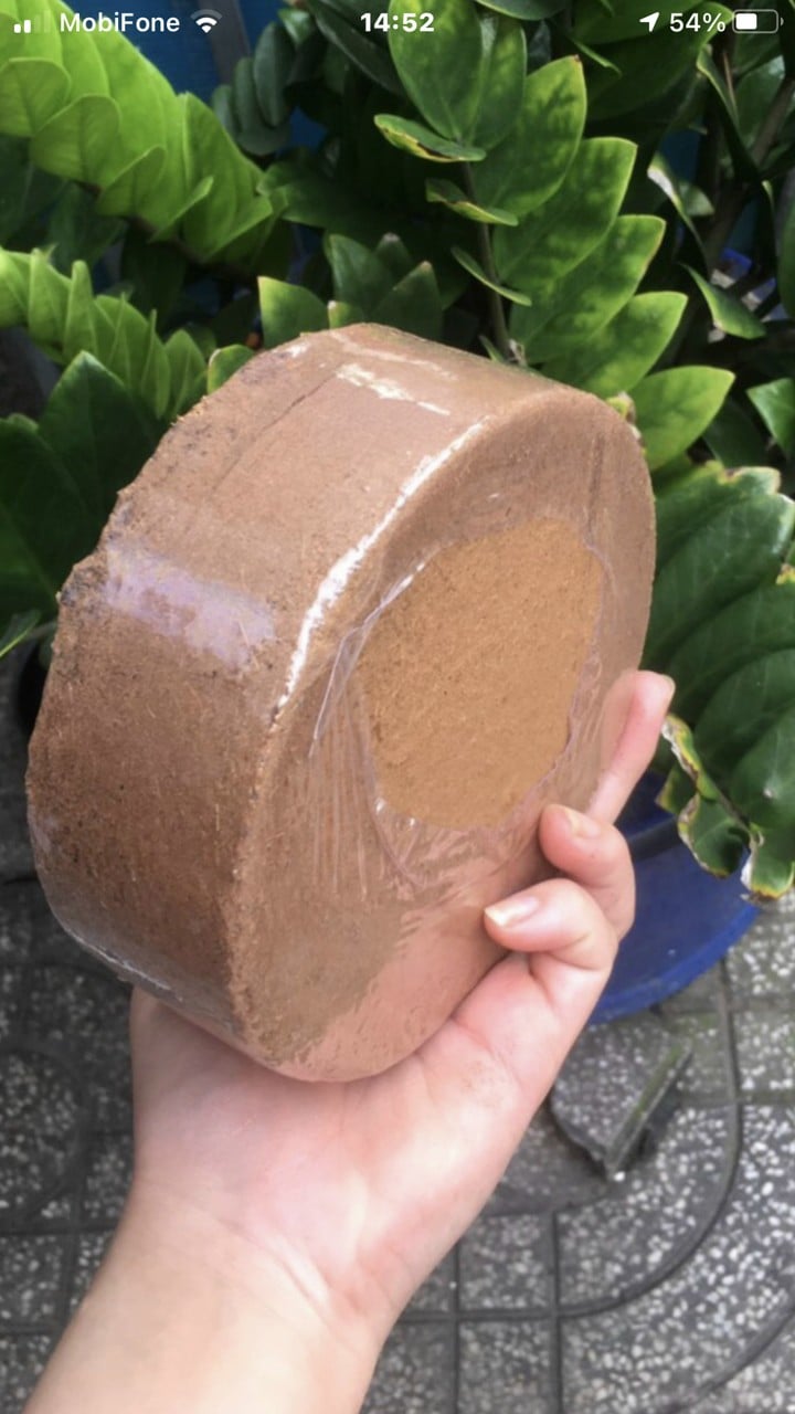 Viên nén mụn xơ dừa bánh lớn cao cấp dùng trồng hoa lan, cây cảnh rau củ trộn đất trồng cây