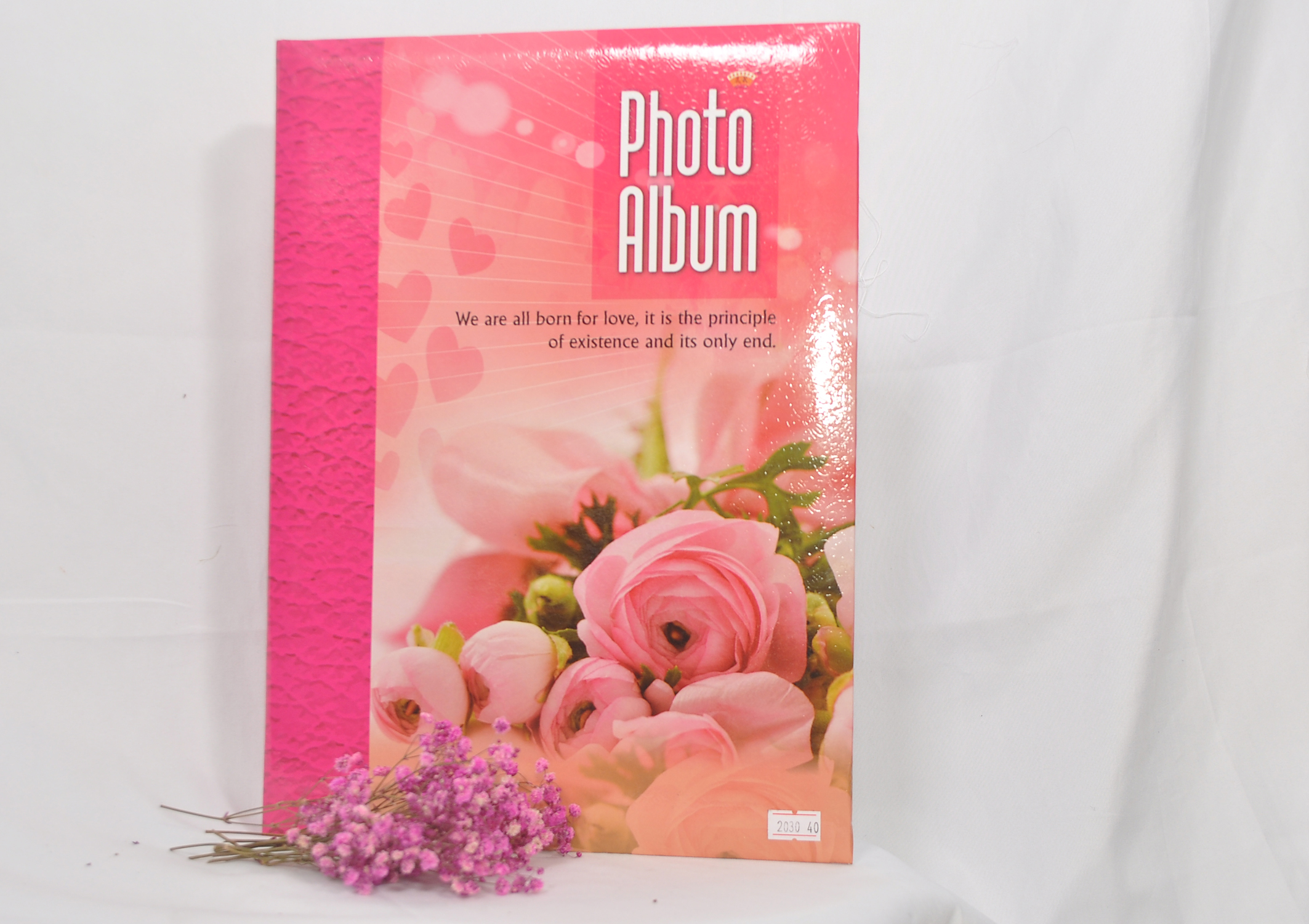 Album hình 20x30 cỡ tờ giấy a4
