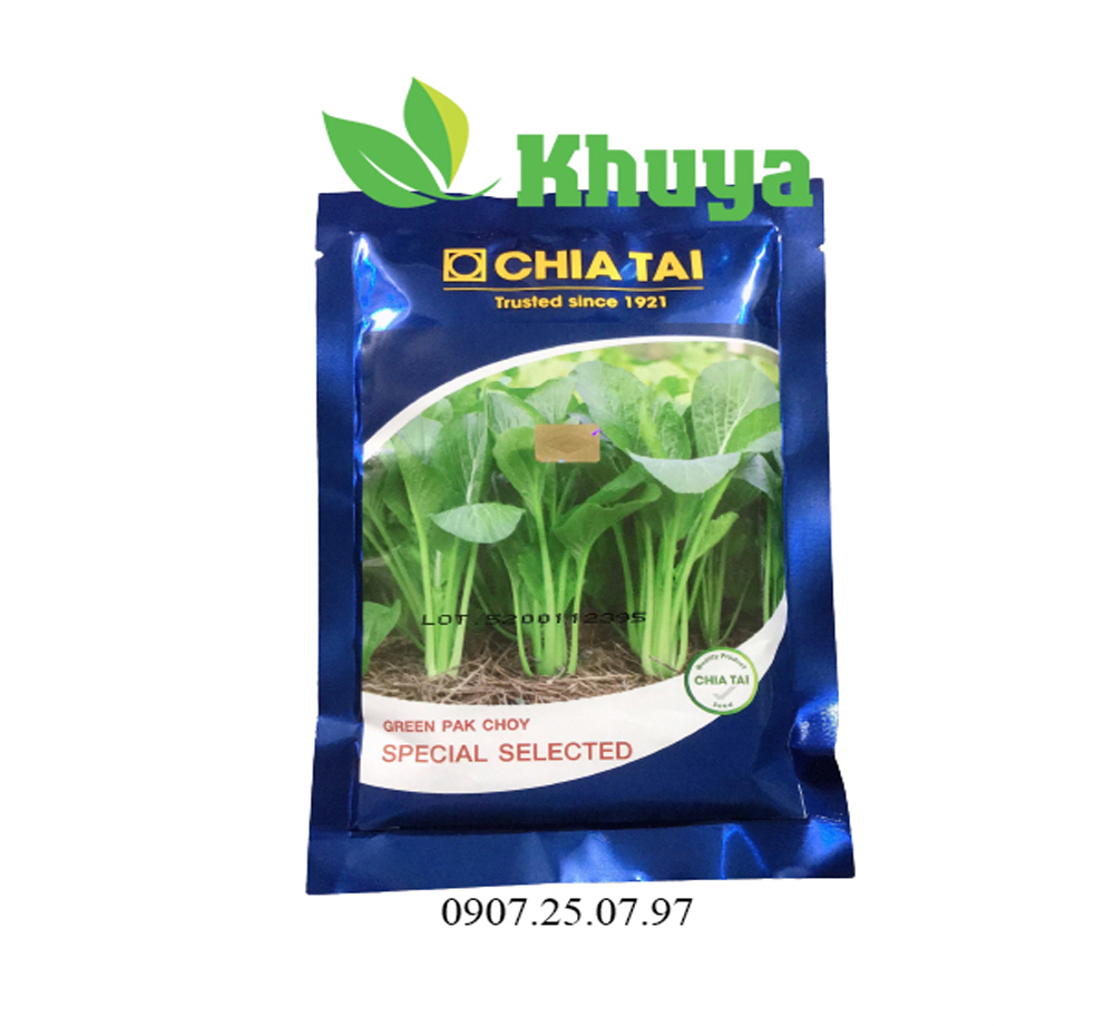 20 gói Hạt giống Cải ngọt cọng xanh Chia Tai 100gr Thái Lan