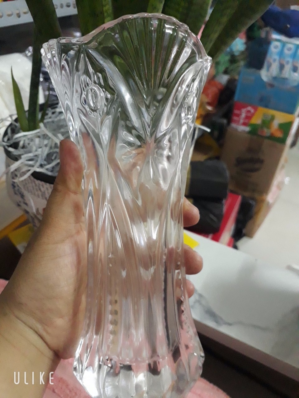Bình bông lọ hoa thủy tinh cao 20CM #dày dặn