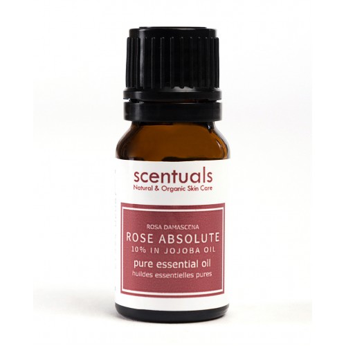 Tinh Dầu Hoa Hồng 10% Dầu Jojoba – 100% Pure Rose Absolute 10% in Jojoba Essential Oil 10ml Sản phẩm cùng loại