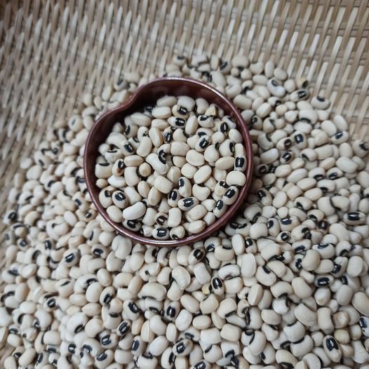 Đỗ trắng bi