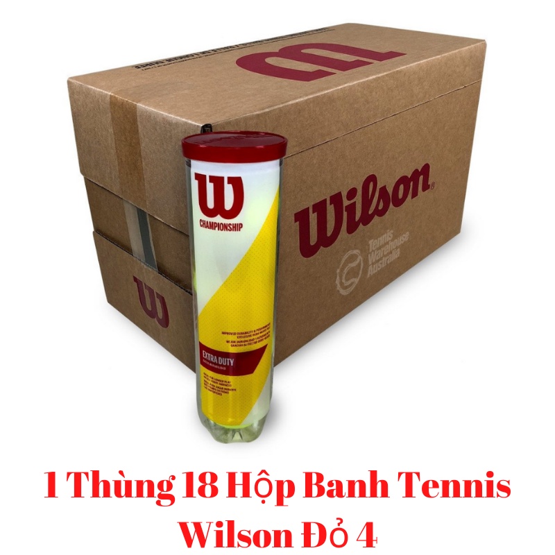 1 Thùng Bóng Tennis Wilson Championship