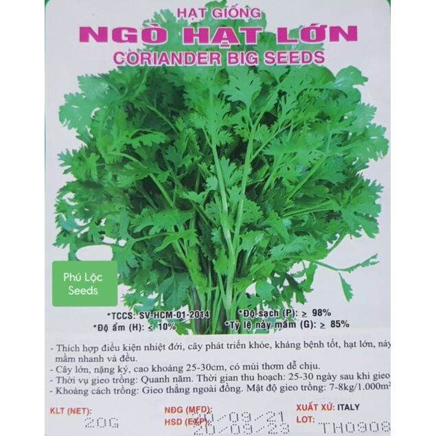 Hạt giống ngò hạt nhỏ rado 31 rạng đông gói 20gram