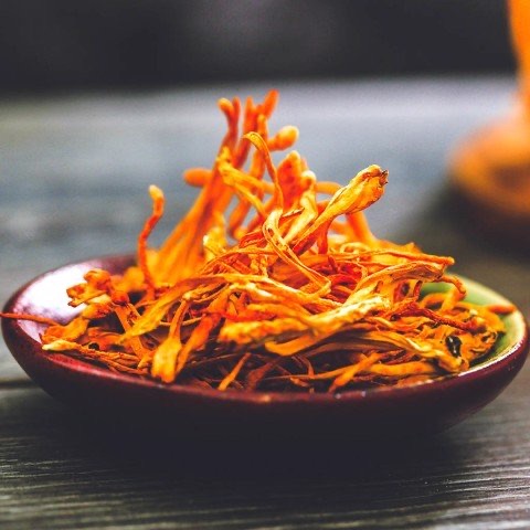 Nấm đông trùng hạ thảo
