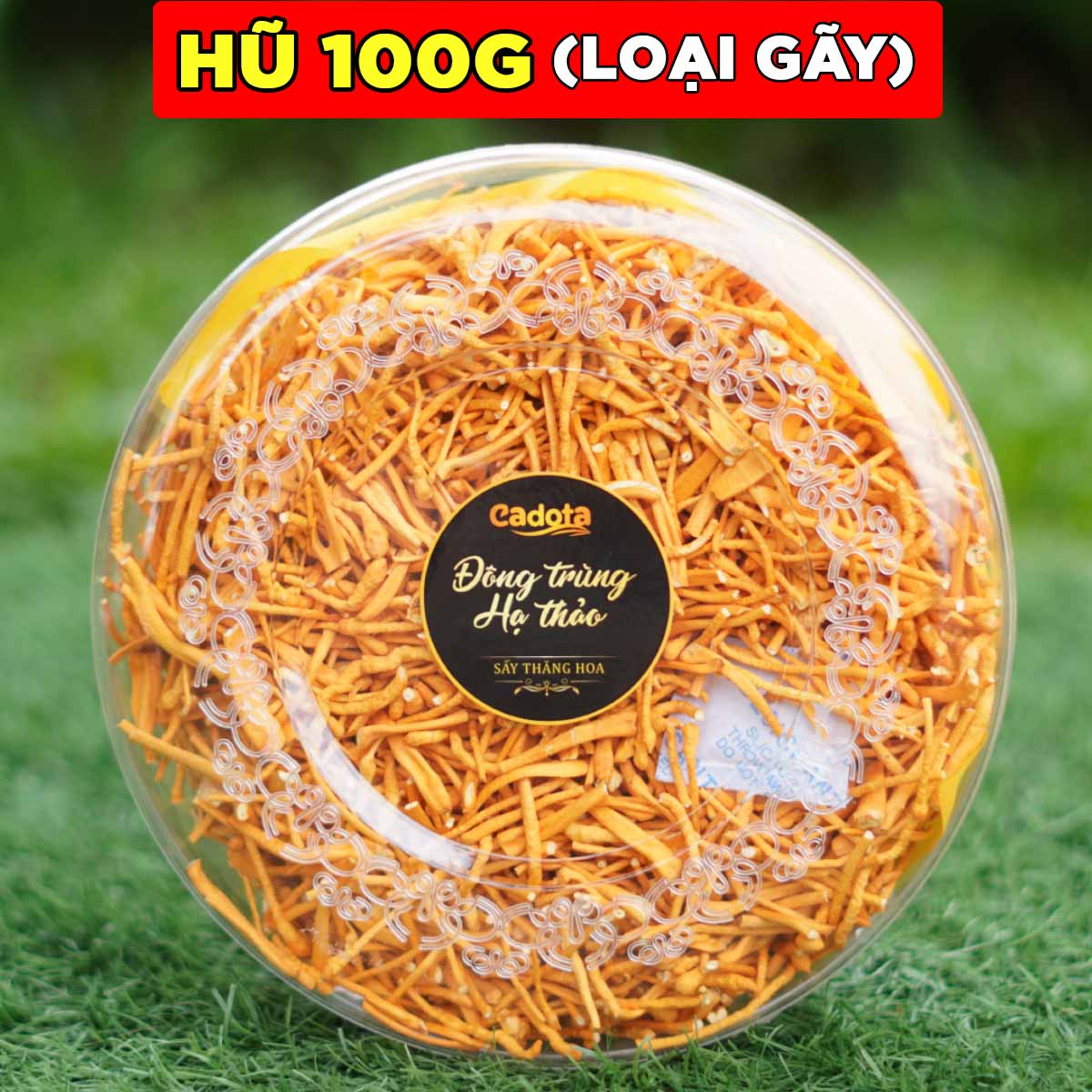 Hũ 100G Đông trùng hạ thảo sấy thăng hoa CADOTA Hàng Sợi GÃY dùng 35 tháng