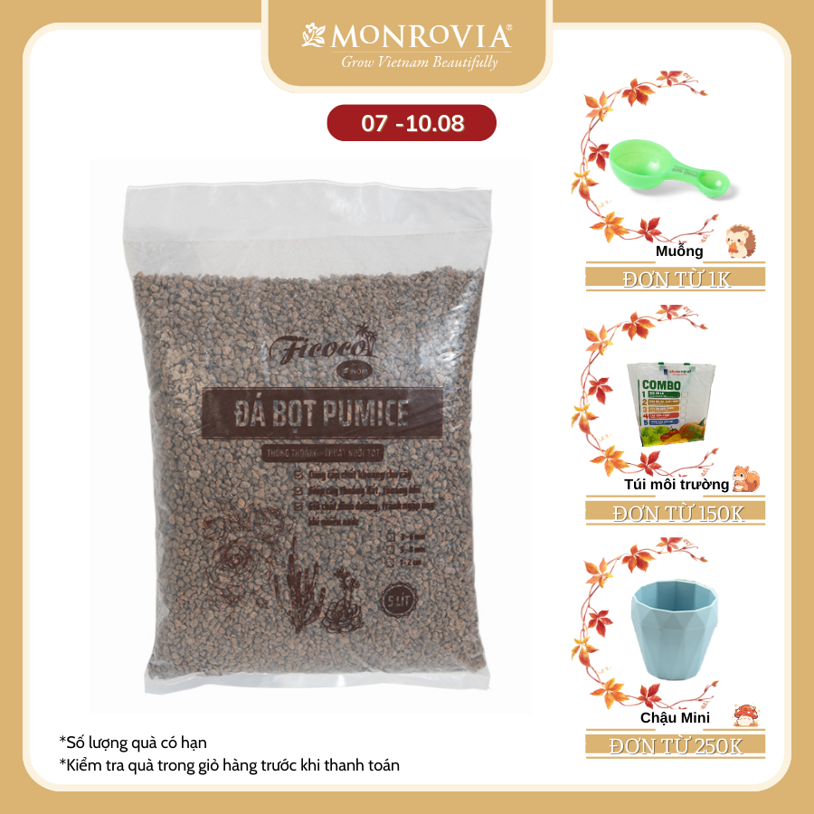 Đá bọt pumice, trộn giá thể trồng hoa hồng, cây kiểng, trồng xương rồng, sen đá, túi 5 lít