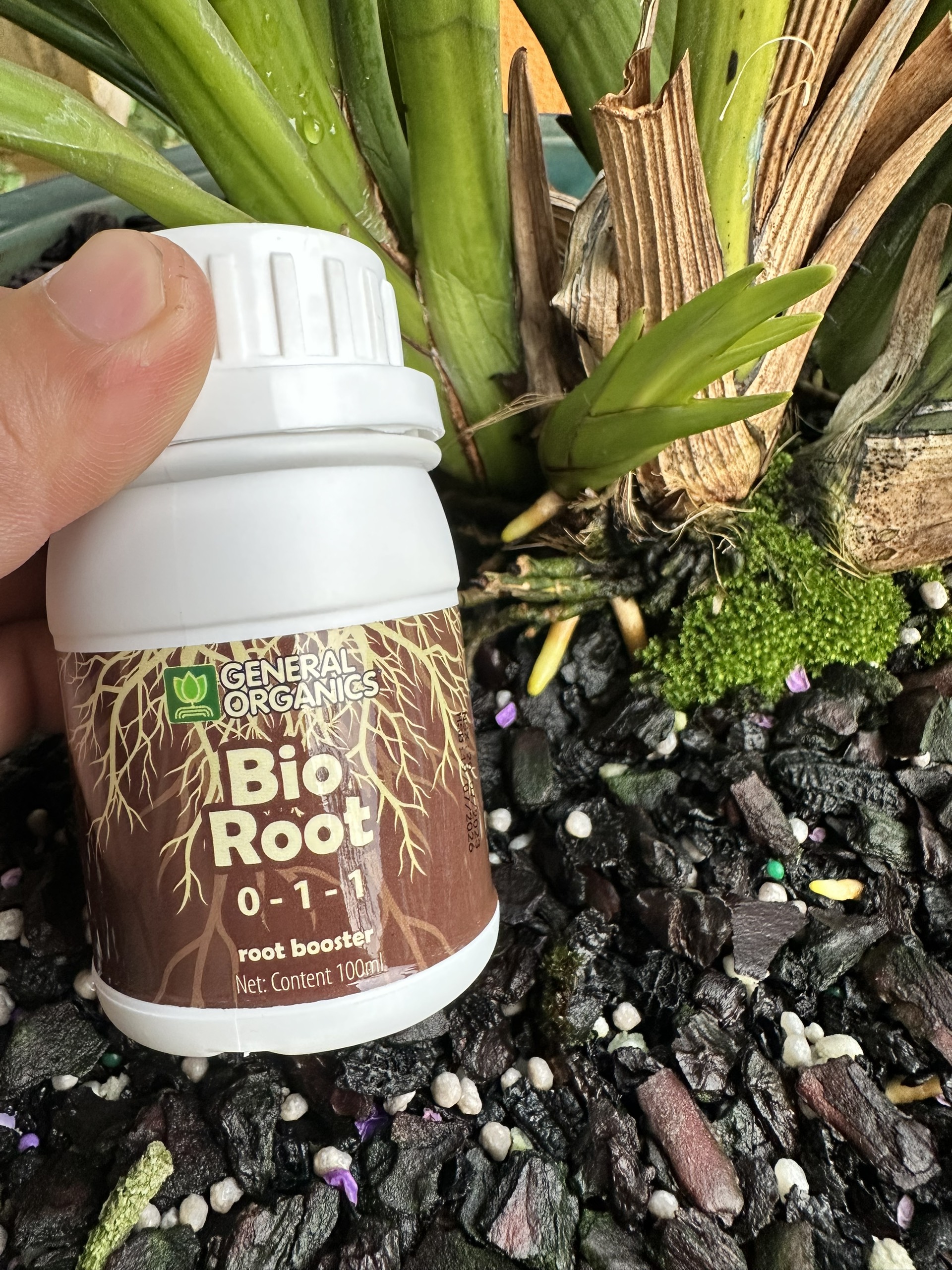 Kích rễ Bio root giúp cây ra rễ nhanh, nhiều rễ dành cho hoa lan, cây cảnh