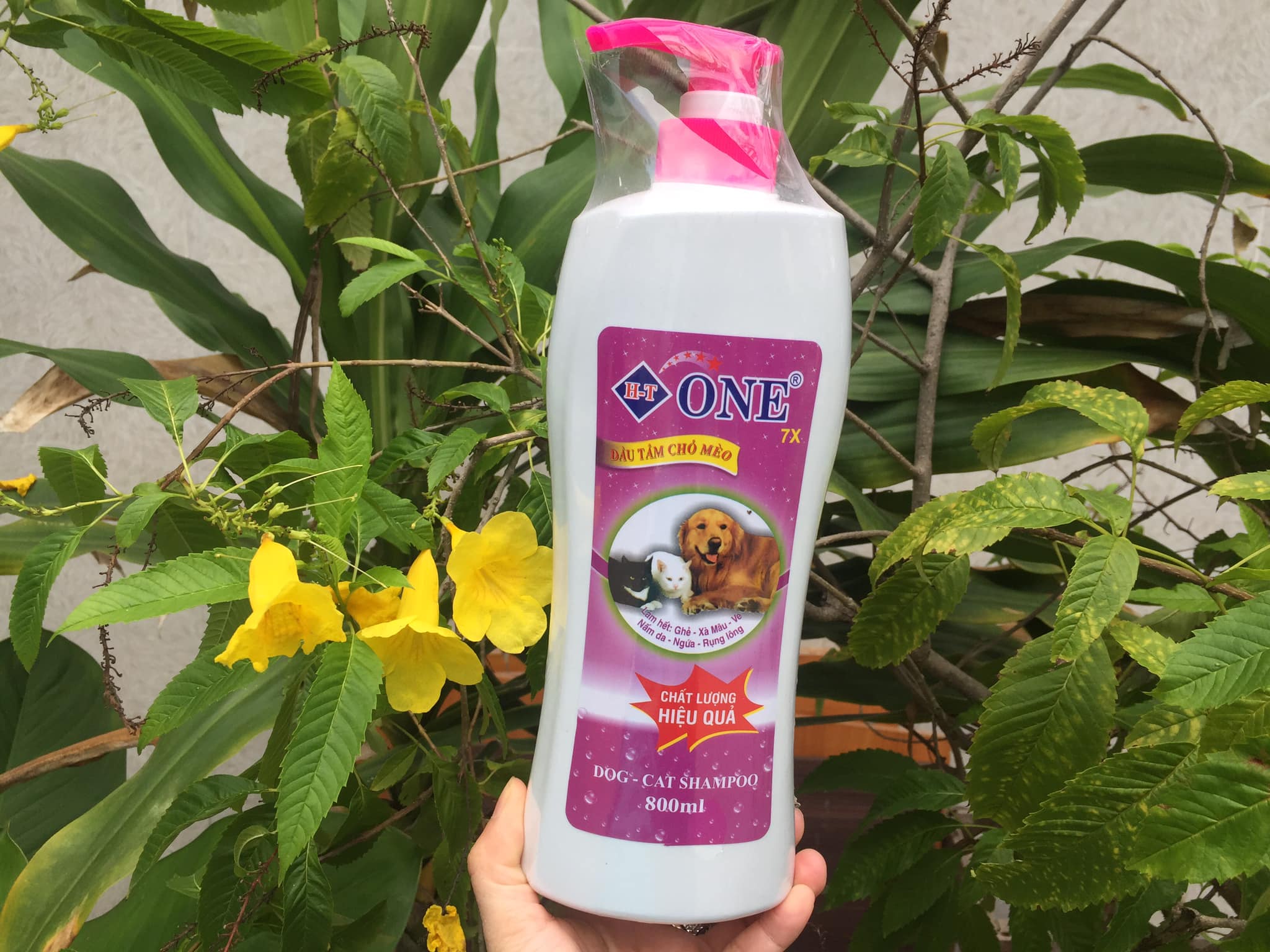 1 chai sữa tắm ONE 7X chó mèo 800 ml sạch ve rận mượt lông