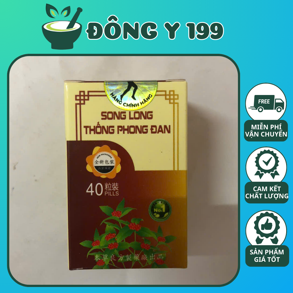 Song Long Thống Phong Đan. Hàng Chính Hãng, Hỗ Trợ Khớp - Gút. Hộp Lọ 40 Viên.