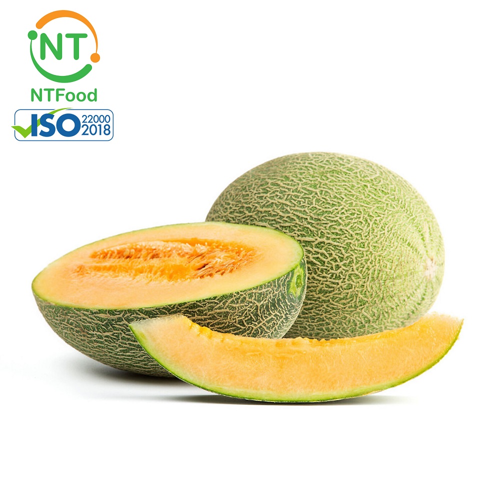 [hcm] 1 trái dưa lưới đài loan aladin melon size 1.5 kg ntfood - nhất tín food 4