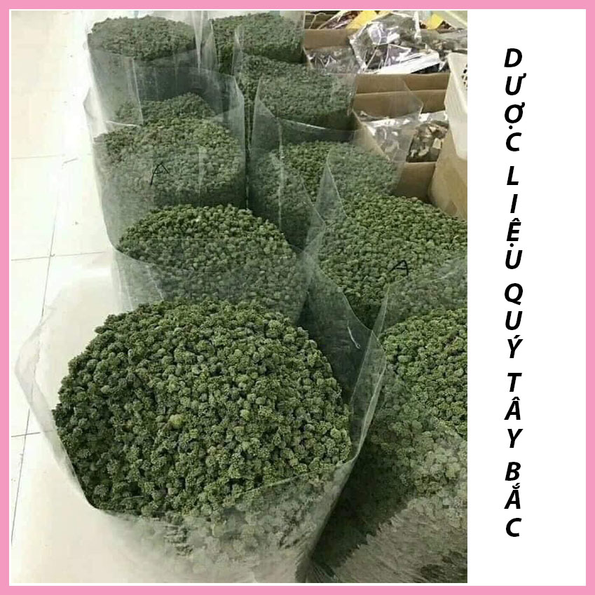 500g Nụ hoa tam thất. tam thất mật ong, củ tam thất. H2style