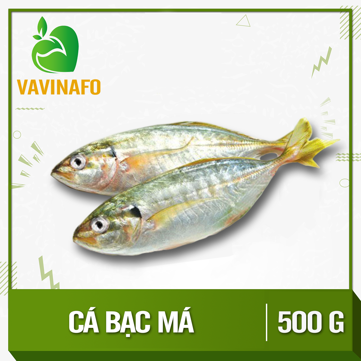 Hcm - cá bạc má -