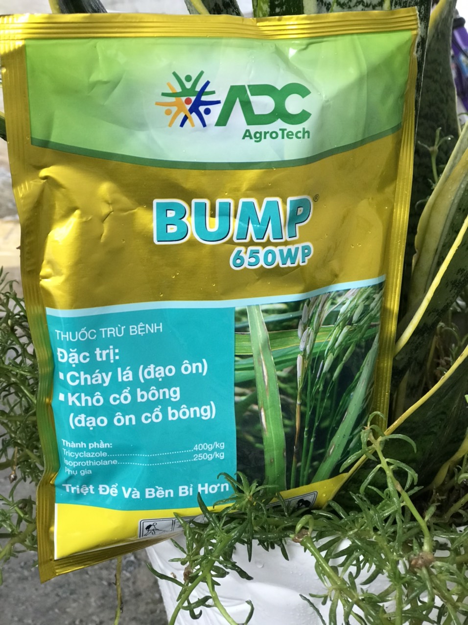Bump 650WP đặc trừ đạo ôn đạo ôn cổ bông