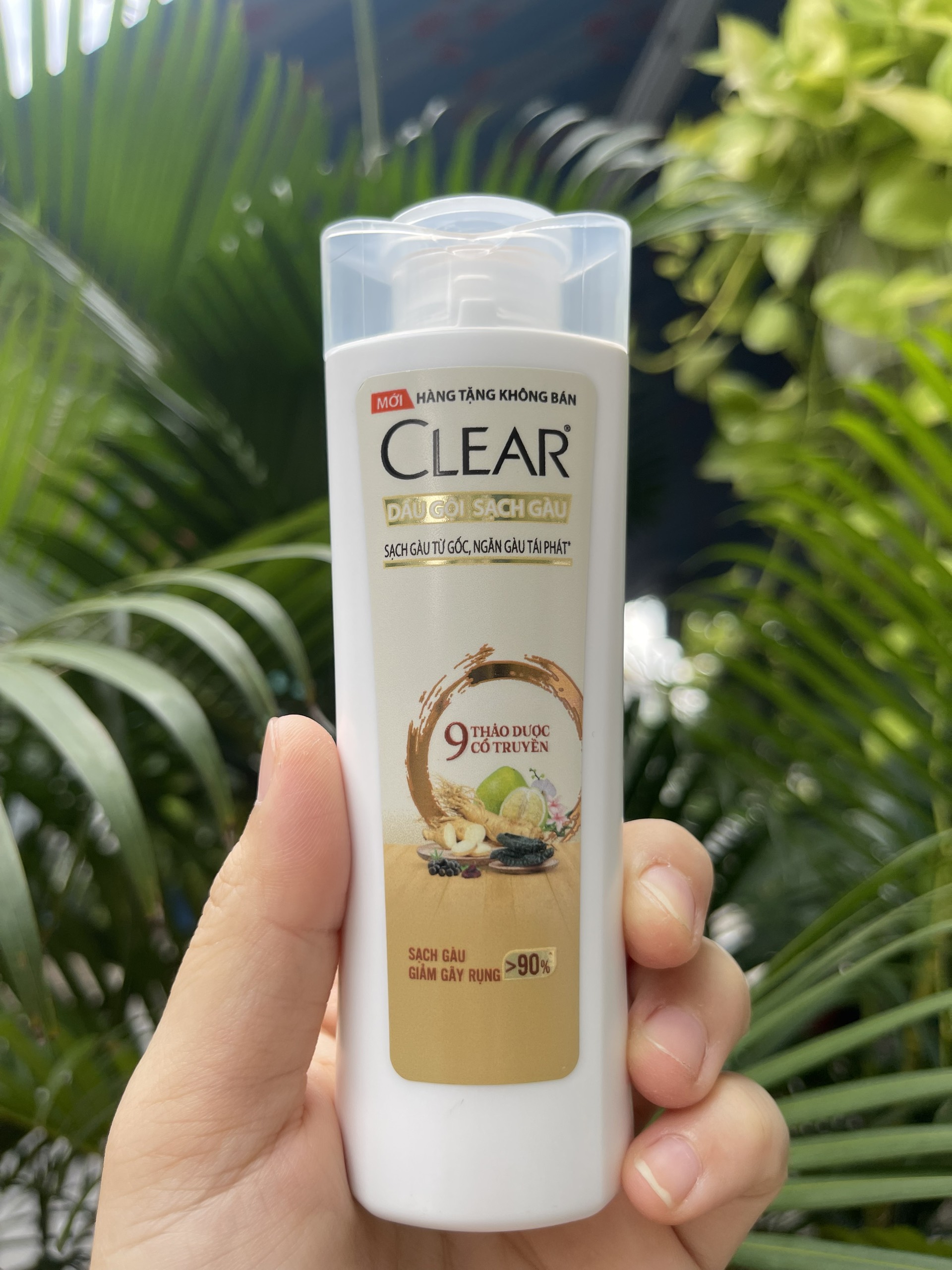 Combo 2 chai - dầu tắm gội clear men / clear thảo dược