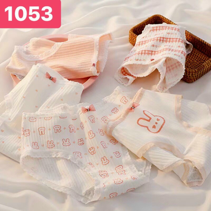 Set 5 quần lót cotton gân tăm - quần lót nữ cao cấp đính nơ dễ thương