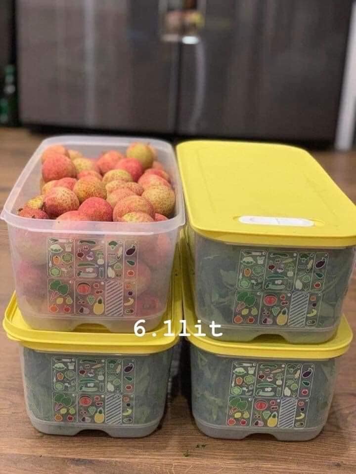 Hộp trữ mát cao cấp ventsmart 6,1l- tupperware