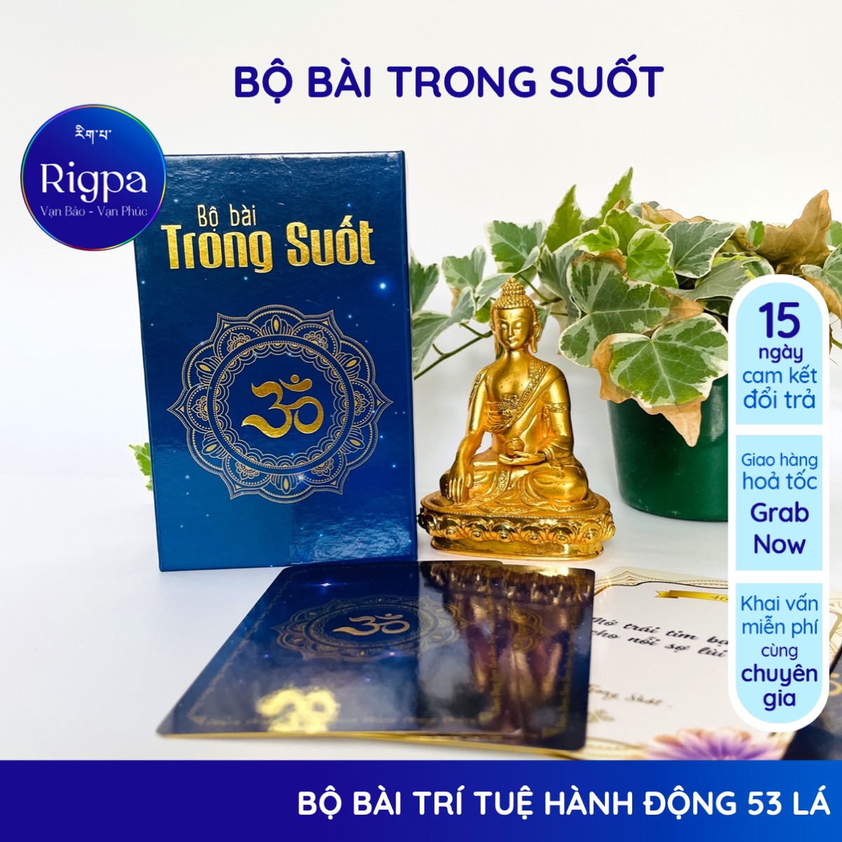 Bộ bài Trong Suốt bói bài hàng ngày 53 thẻ bài mạ vàng 7x12cm 3D fullbox kèm quà tặng Rigpa