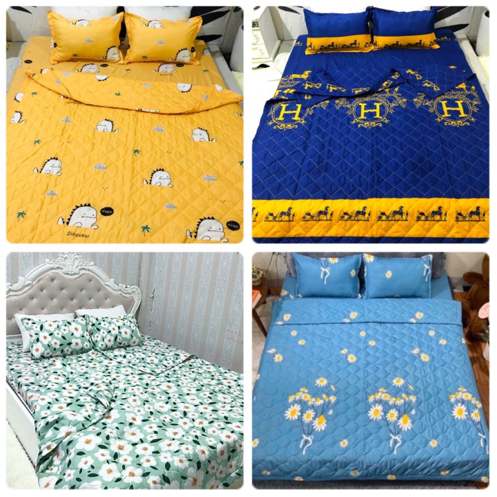 Chăn Hè Thu Trần Bông Hàn Quốc Cotton Poly Nhiều Màu Chọn Lựa