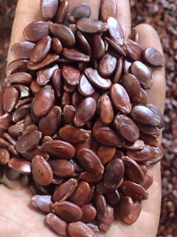 1 kg-500 gr Hạt dưa loại đặc biệt thương hiệu Thành Công Túi-date mới