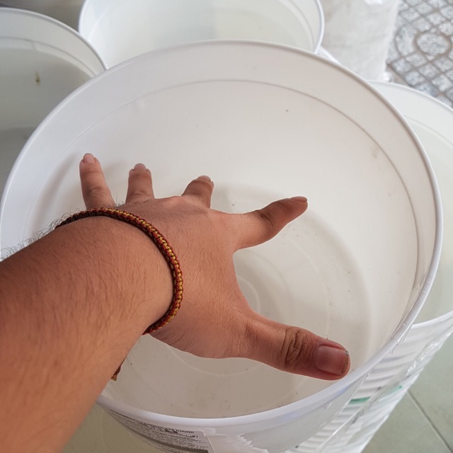 Thùng kem tròn dùng để ép và nuôi cá cảnh - thùng ko nắp